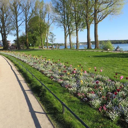 Ferienwohnungen "Marie" Mit Terrassen, Inclusive Park- Und Stellplaetze Am Haus, Mueritz-Strand Nur 700M, Altstadt 10Min, Ruhige Lage, Waren  Buitenkant foto