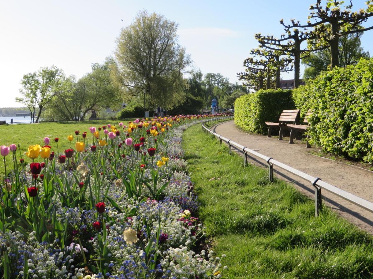 Ferienwohnungen "Marie" Mit Terrassen, Inclusive Park- Und Stellplaetze Am Haus, Mueritz-Strand Nur 700M, Altstadt 10Min, Ruhige Lage, Waren  Buitenkant foto